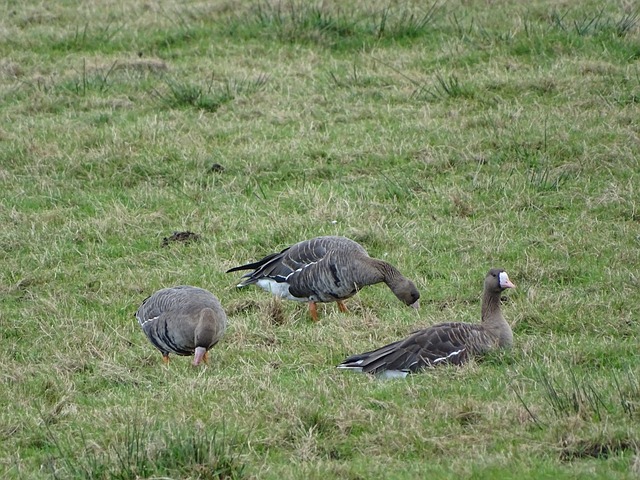 巨大转变 巨大转变