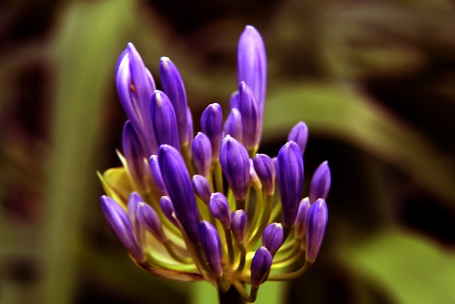 科曼之前的 科曼之前的