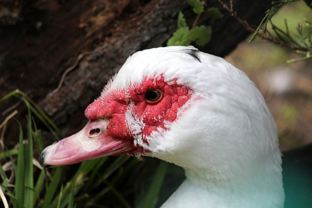 展現了他們 展現了他們