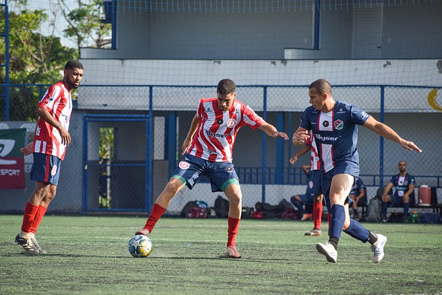 未來將是無 未來將是無