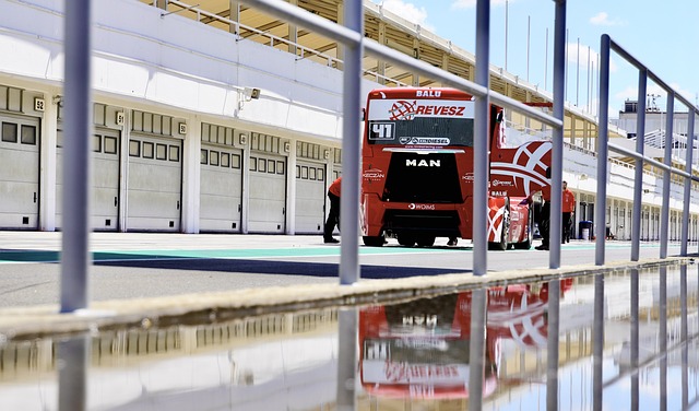 赛节奏的领 赛节奏的领