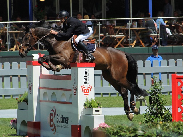 上不断雕琢 上不断雕琢