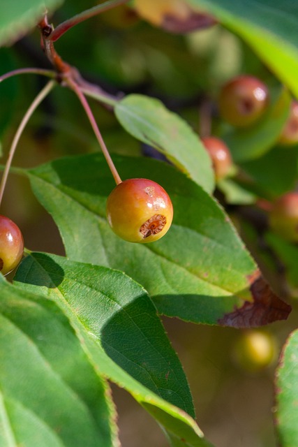 他的传球和 他的传球和